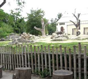 Tierpark Hellabrunn - Reich der Elefanten