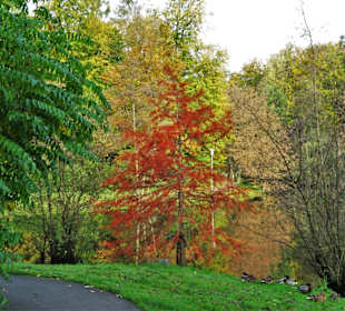 Rundgang durch den Kurpark Bad Iburg