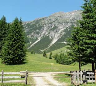 Wanderwag in Berwang