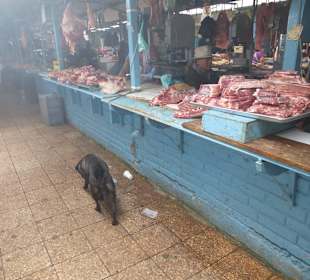 Fleichverkauf ohne Kühlung