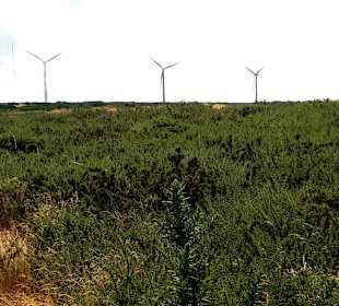 Hochebene Paul da Serra