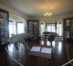 Ausstellung