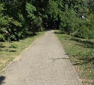 Schlosspark Hohenheim