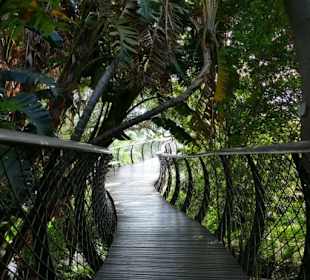 Kirstenbosch, Botanischer Garten
