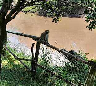 Von der Terrasse aufgenommen