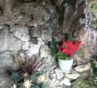 Lourdesgrotte Sonderbuch