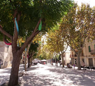 Plaza in Alcudia