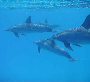 Mein schönstes Erlebnis!