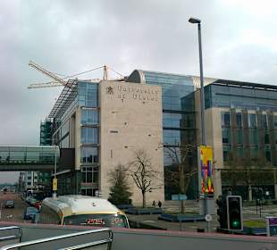 Zwiedzanie miasta Belfast