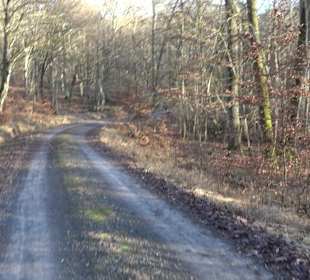 Wanderung rund um den Ochsenweiher