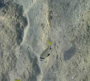 Фото с пирса