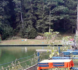Blick auf den See und die Terrasse