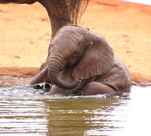 Tsavo Ost Nationalpark