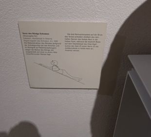 Museum Alte Kulturen