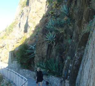 Der Liebesweg am Meer entlang