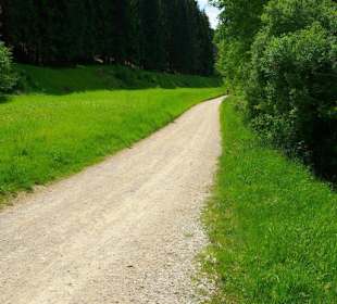 Wanderung zum Bärenfels
