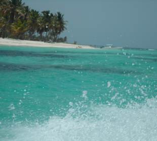Ausflug Isla Saona/ Blick vom Speedboot