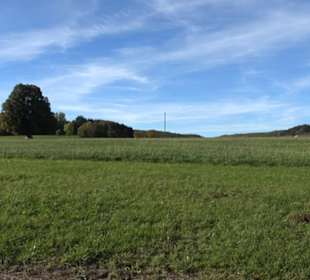 Friedenseiche Kohlstetten