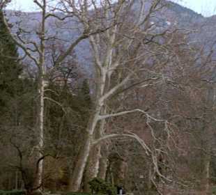 am Lago