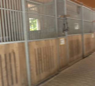 Haupt- und Landgestüt Marbach