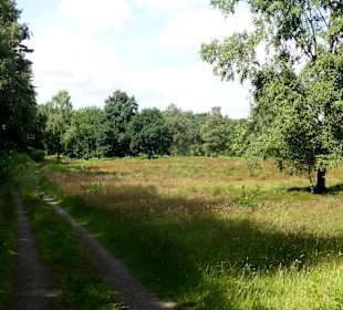 Unterwegs auf dem Huntepadd