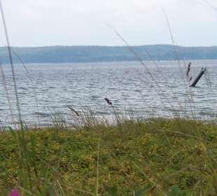 Holnis Strandspaziergang