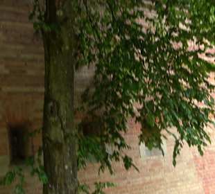 Baumlehrpfad Glacis Park