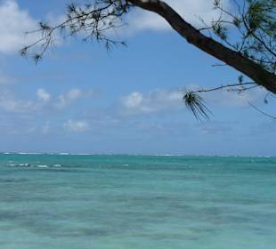 Ile aux Cerfs
