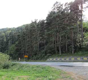 Valea Oltului / Olt-Tal 