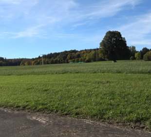 Friedenseiche Kohlstetten