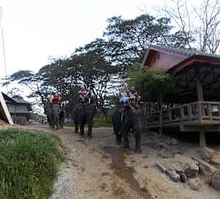 Elefantencamp Chiang Mai