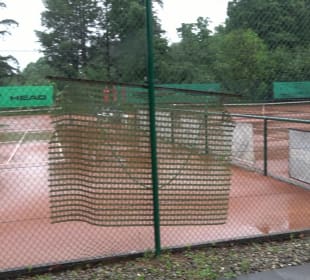 TC Bad Waldsee