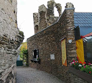 Burg Metternich