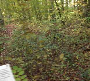 Keltische Grabstätten Stockach