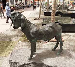 Stadtrundgang Puerto del Rosario