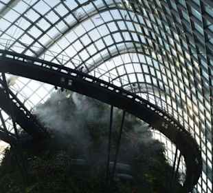 Gardens by the Bay