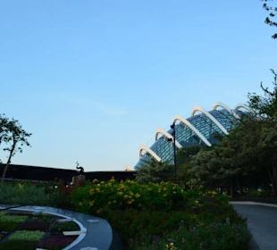 Gardens by the Bay