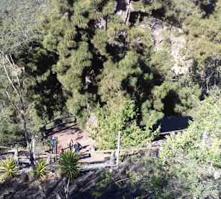 Teide Nationalpark in Las Canadas del Teide