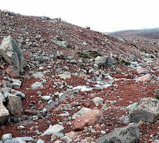 Wandern am Chimborazo
