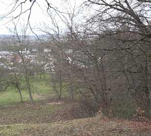 Geigersbühl Großbettlingen