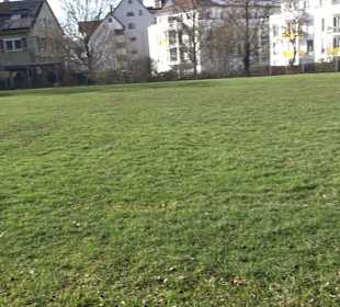 Sportanlage Neuhalden Lustnau