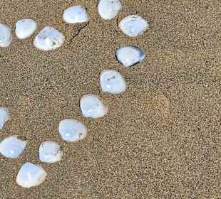 Da hat einer sein Herz verloren