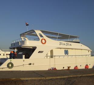 Schnorcheln mit Delfinen 