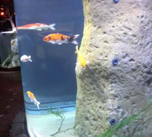 National Aquarium Malta