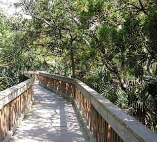 Der Boardwalk vom Center