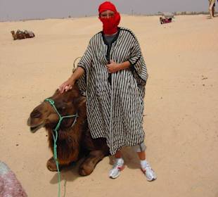 Kamelritt in der Sahara