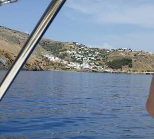 Elena Tours