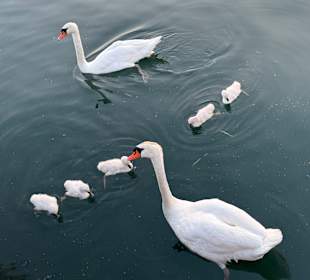 Sonstiges