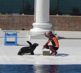 Delfinarium