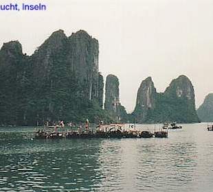 Inseln in der Halong Bucht